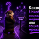 Какво е LinkedIn - социална медия или социална мрежа?